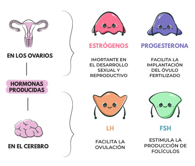 HORMONAS DEL CUERPO