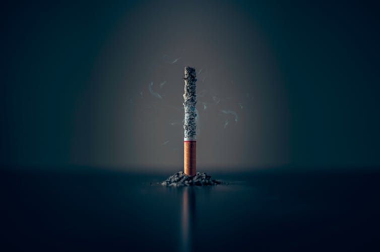 Las personas fumadoras, así como las que están expuestas al humo del tabaco ajeno, tienen el doble de probabilidades de desarrollar EM; concretamente, de padecer formas avanzadas de la enfermedad. Y en el caso de que ya se tenga esclerosis, existen pruebas convincentes de que dejar de fumar ralentiza la dolencia.